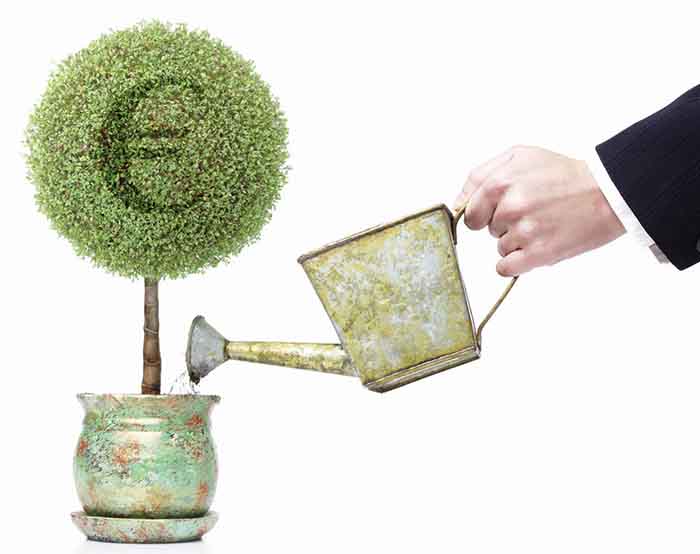 Fund selectors talk up ESG but slow to take action