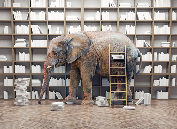 European pension plan’s ‘elephant in the room’