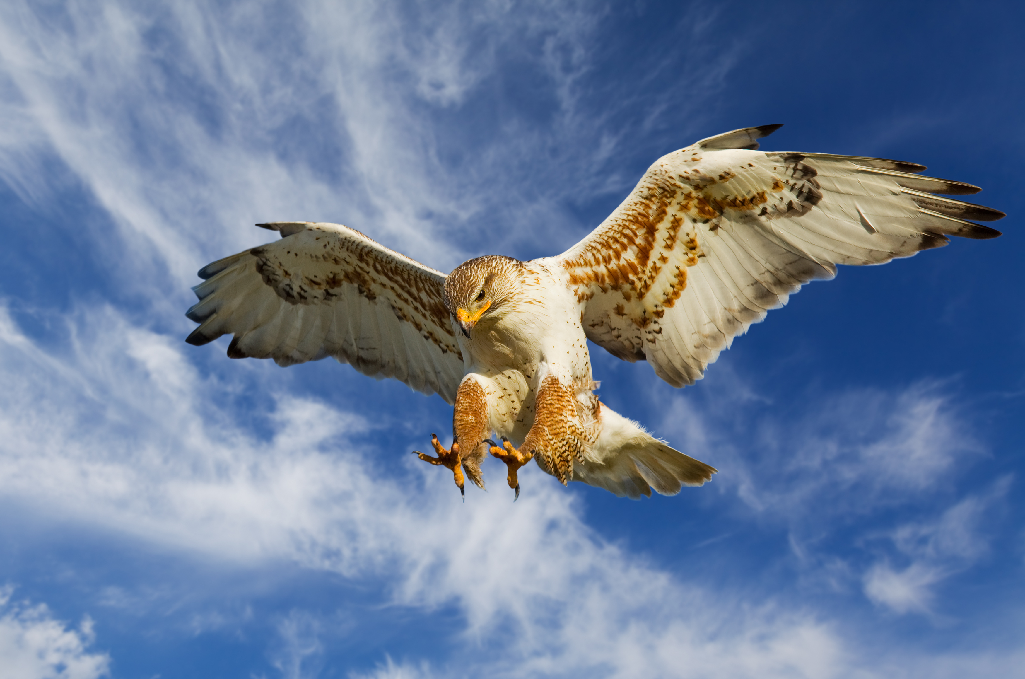 BoE rate decision reveals surprise hawk