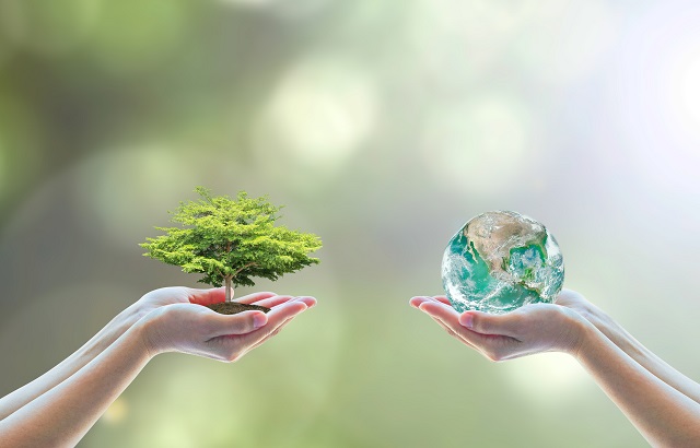 Novia Financial partners with ESG Accord to launch sustainability framework