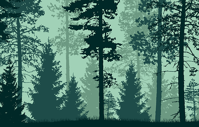 Beautiful flat vector forest landscape in green colors.
