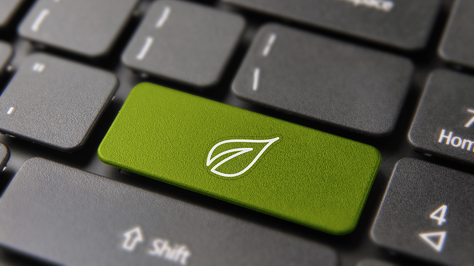 Green energy button on computer keyboard for environment help and conservation awareness concept. Laptop key with modern tree leaf line art icon.