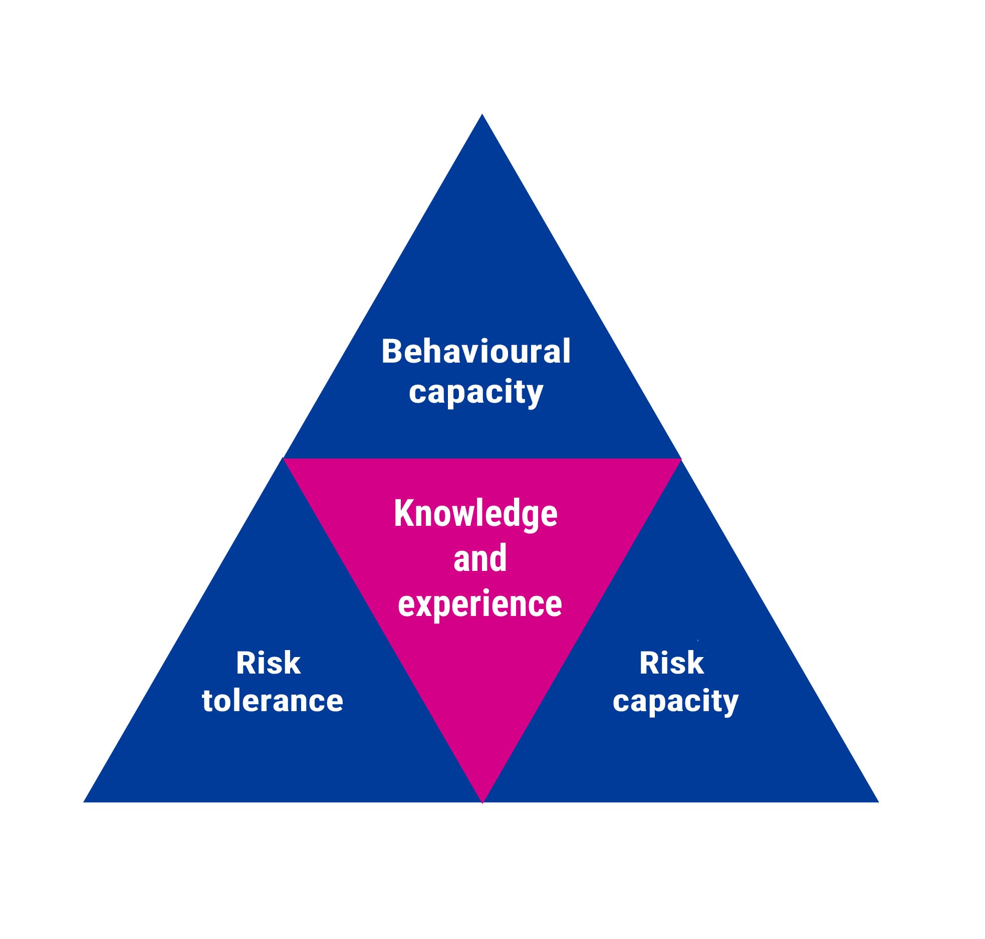 1 Components of a Suitable Risk Level: Risk Tolerance and Capacity form the foundation, with Knowledge and Experience and Behavioural Capacity acting as caps or limits where necessary.