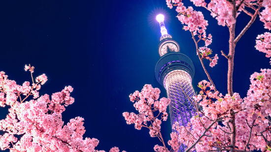 SJP ups Japanese equities exposure and cuts back on Europe