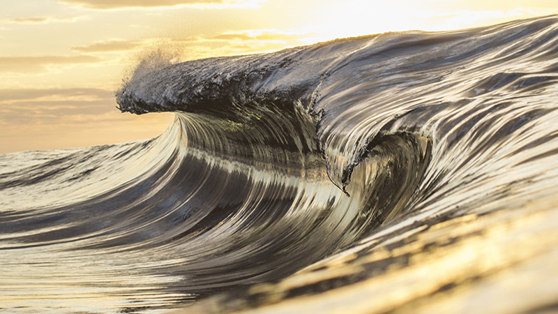 Golden ocean wave illuminated by the bright morning sun